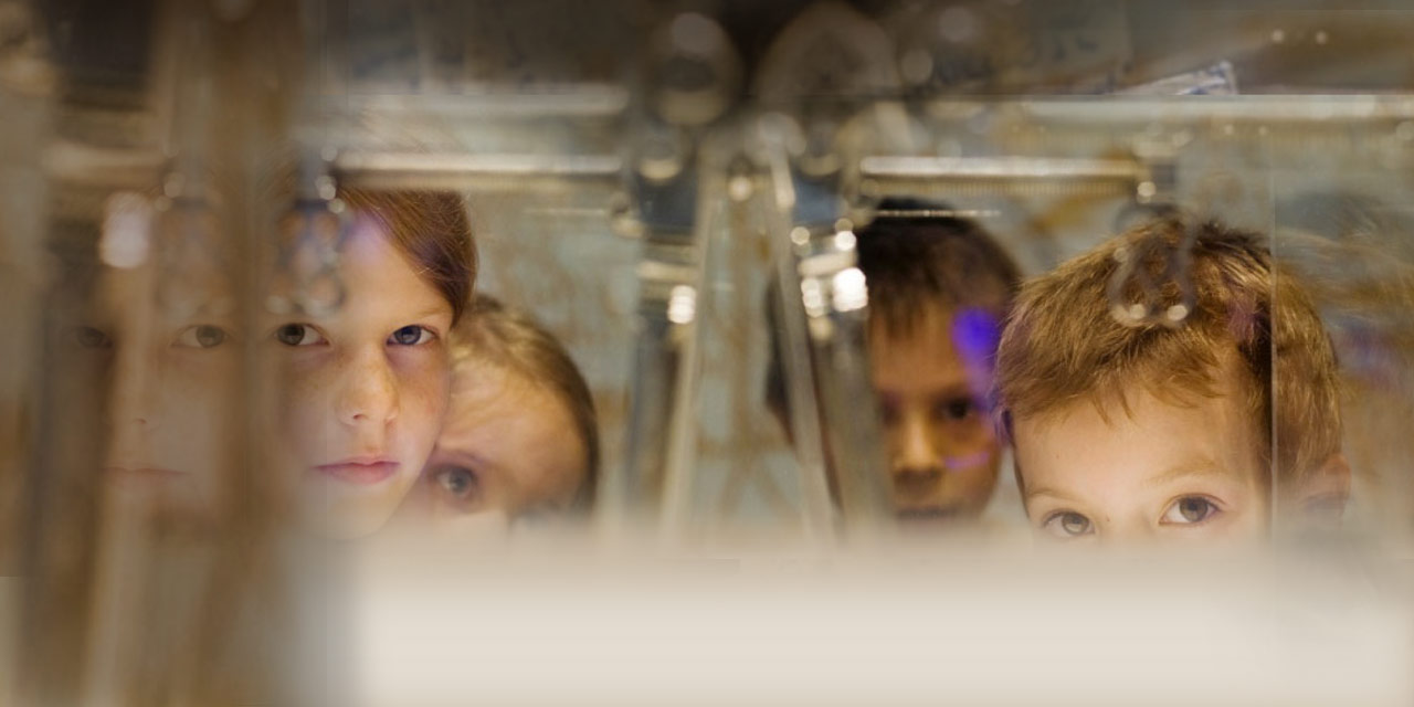 Kinder im Schulmuseum. Foto: Erika Moisan, Nürnberg